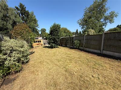 Picture 19